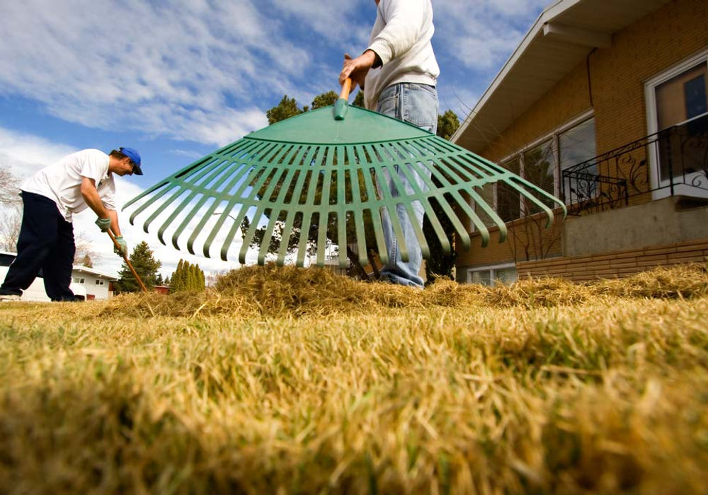Spring debris cleanup in a yard