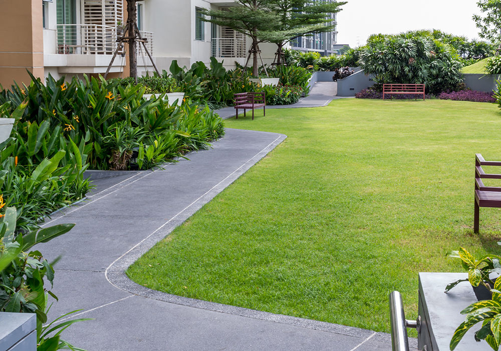 Hard edging along a driveway border