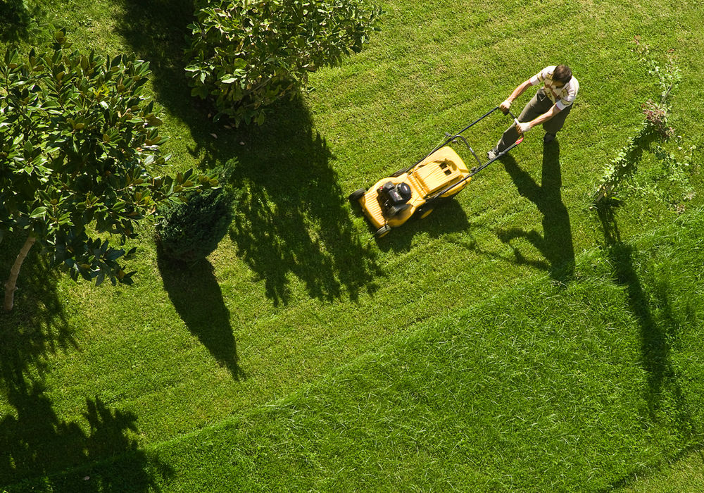 Freshly mowed lawn with clean stripes
