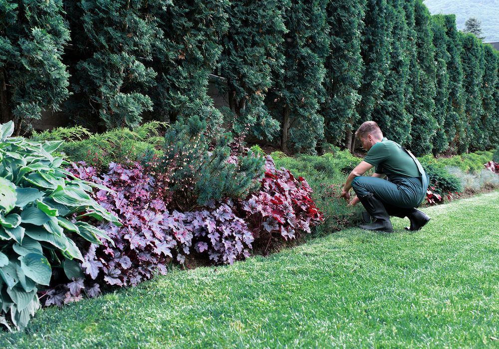 Fresh mulch applied to a landscape bed